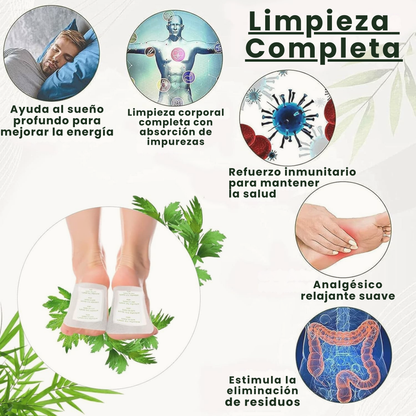 Parches Desintoxicantes Kinoki